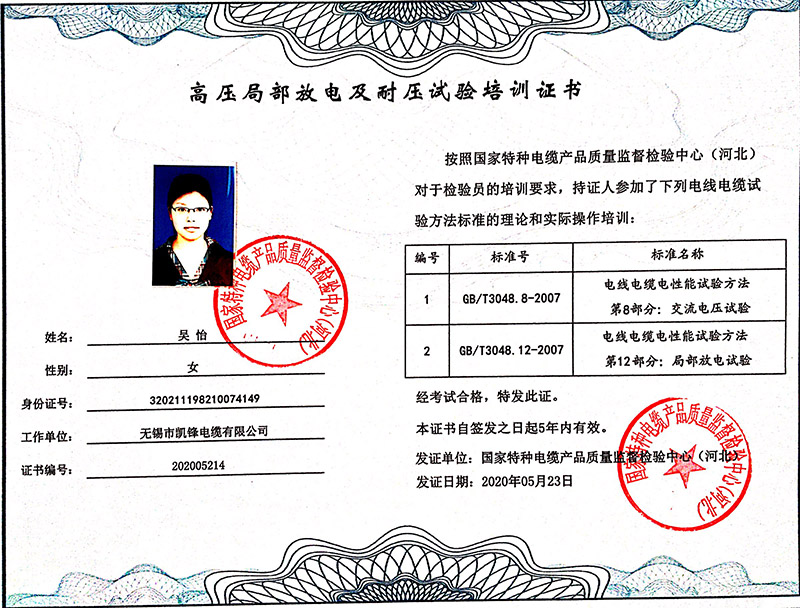 高压局部放电及耐压试验培训证书