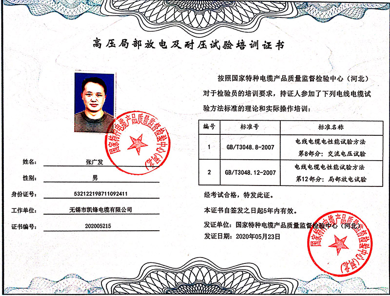 高压局部放电及耐压试验培训证书